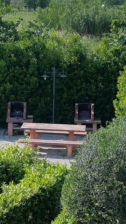 Casale Etrusco Pensionat Bolgheri Eksteriør billede